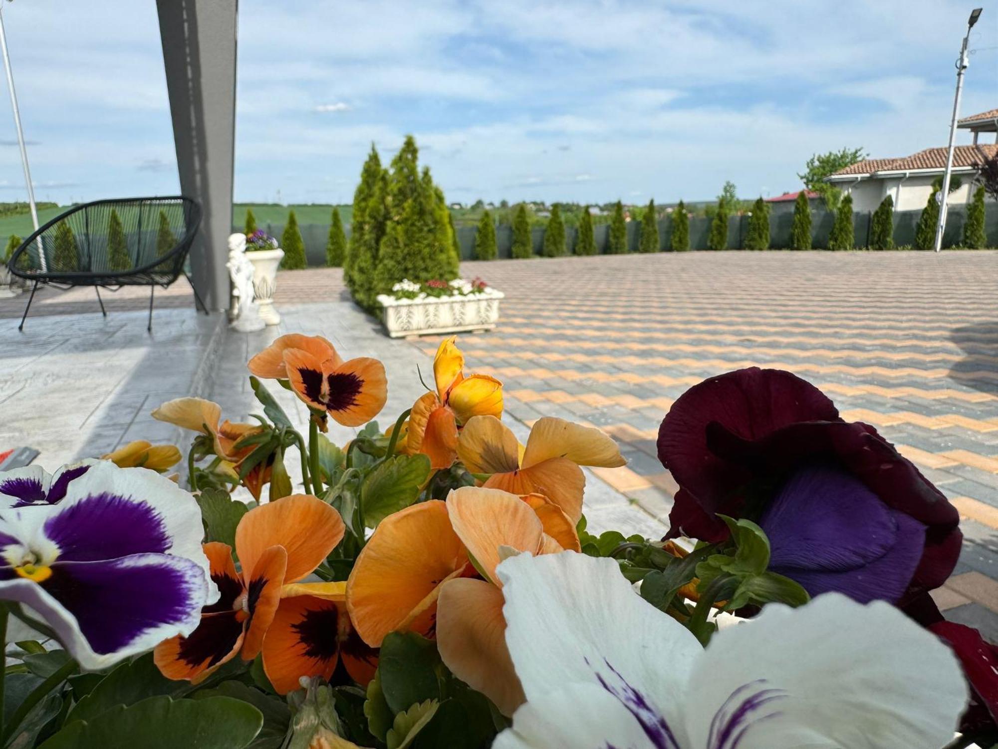 Stef Rooms Tirgu Frumos Dış mekan fotoğraf